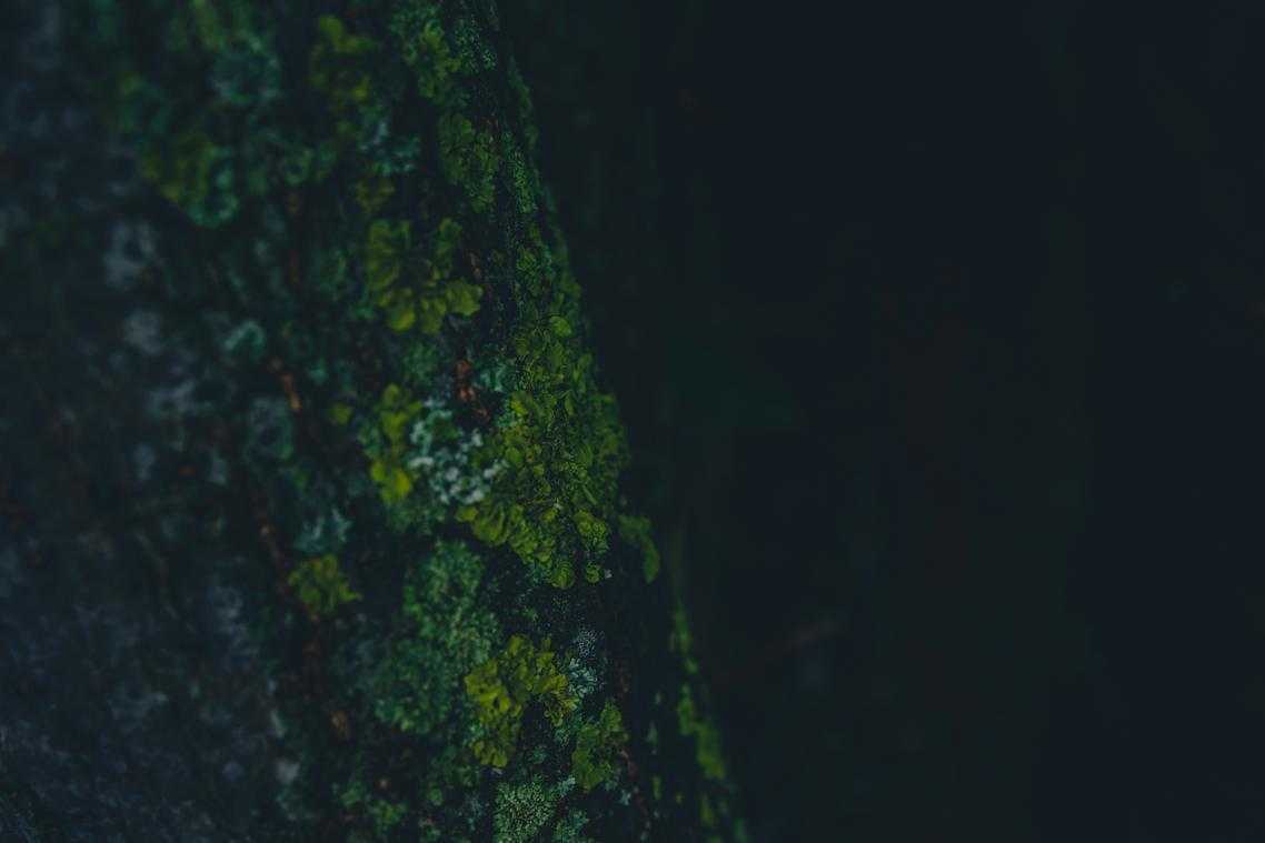 distributed streaming