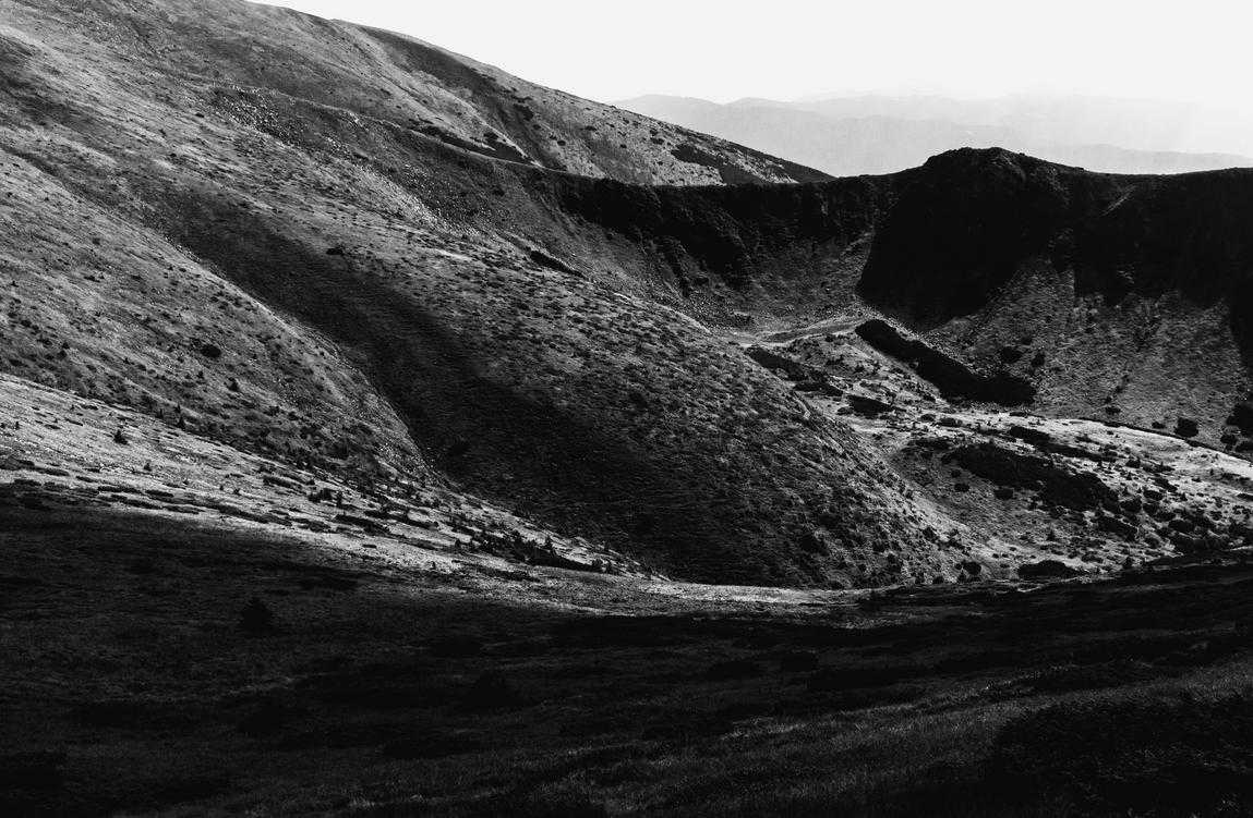 Insight Differentiation