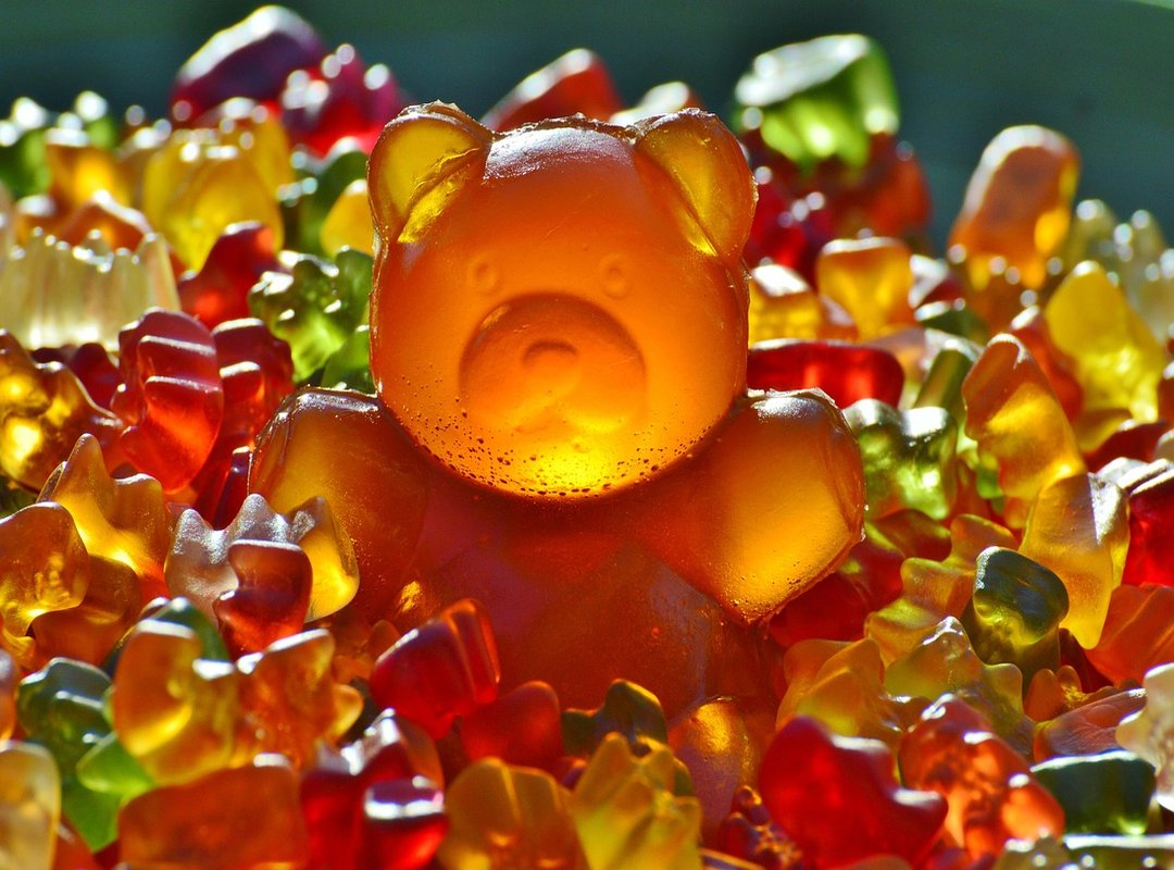 Is 'Pookie Bear' Here to Stay? The Lifecycle of Internet Slang